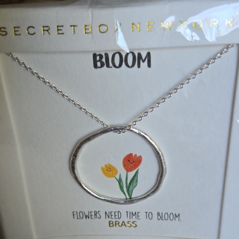 NIB Silver Circle Pendant Necklace - Picture 2 of 3